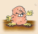 Der Nacktmulch
